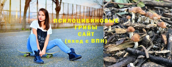 тгк Армянск